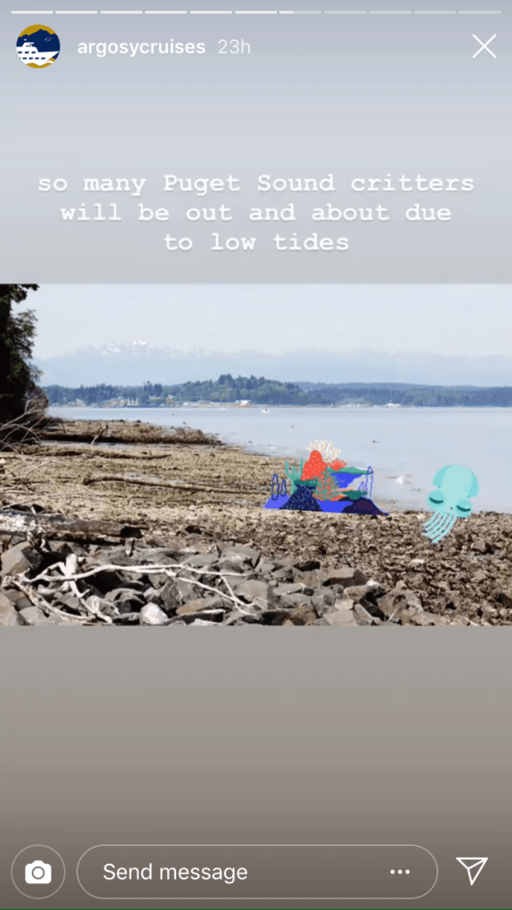 Second photo in the story with the caption 'so many Puget Sound critters will be out and about due to low tides' over another photo of the beach with marine life stickers