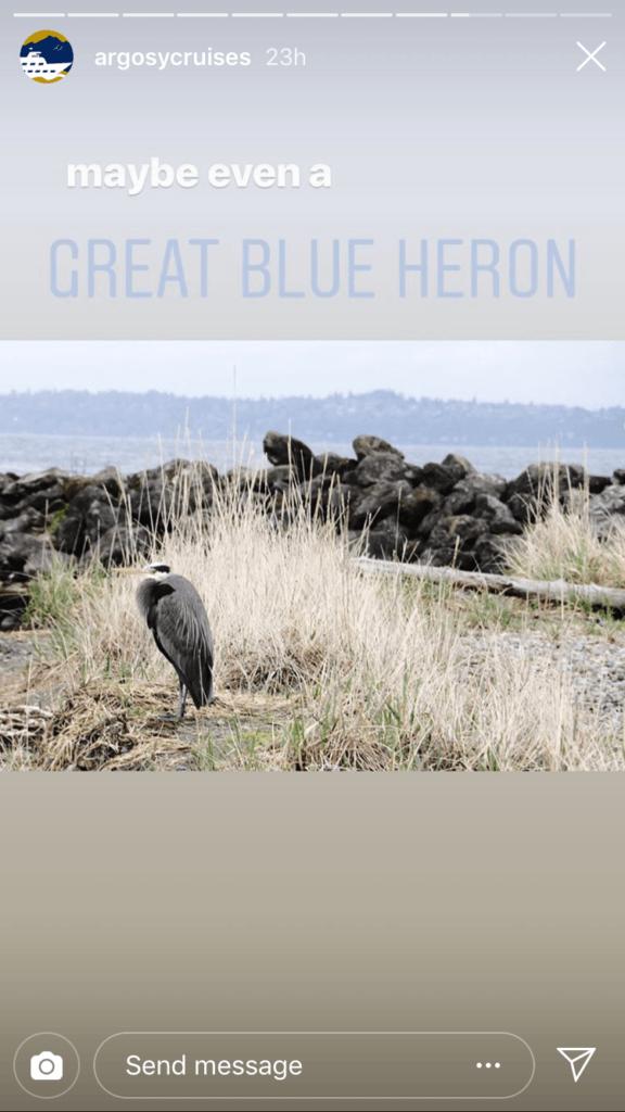 Fourth photo in the story with the caption 'maybe even a Great Blue Heron' atop a Great Blue Heron standing among some tall grass