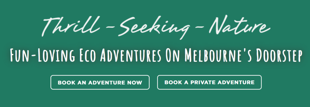 Wild Adventure Melbourne key terms